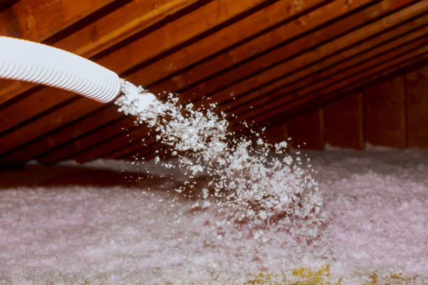 Best Types of Insulation in Island Walk, FL
