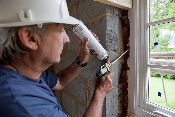 Best Insulation Maintenance and Repair in Island Walk, FL