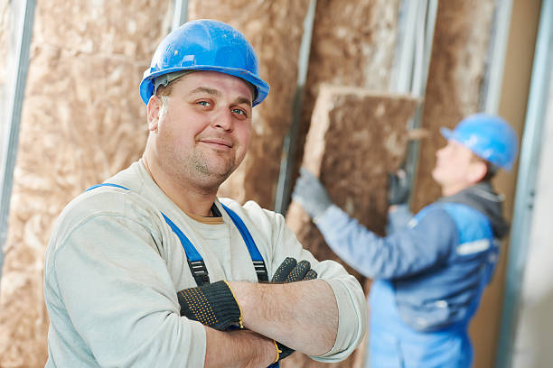 Best Residential Insulation in Island Walk, FL